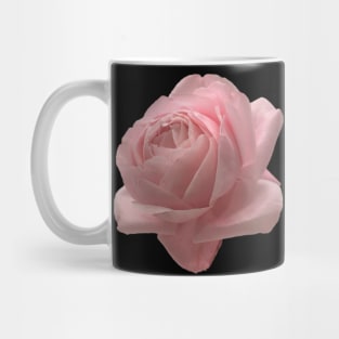 Big Pink Rose Close-up Mug